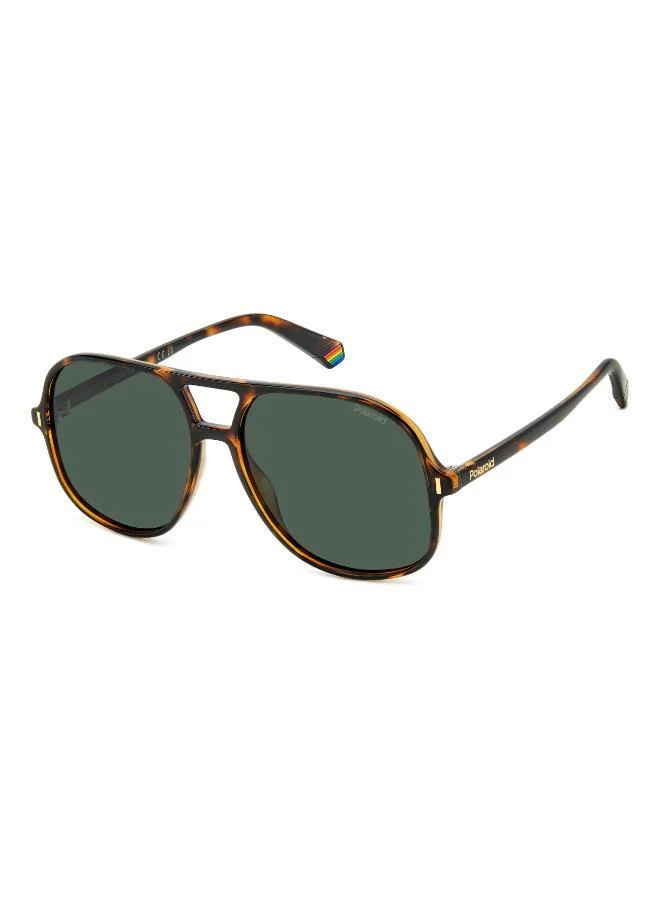Polaroid  Square Double Bridge Sunglasses Frames  | Best Price UAE